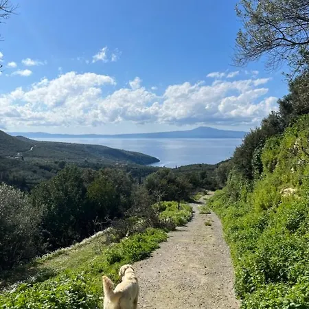 Greek Retreat Holiday home